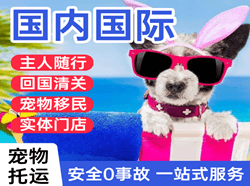 徐州航空运输国际宠物托运 【国